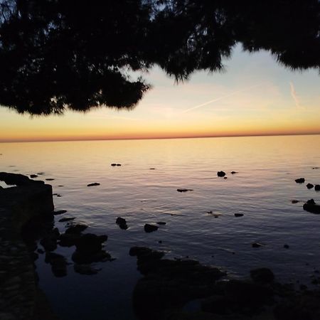 Jordanapartment Poreč Zewnętrze zdjęcie